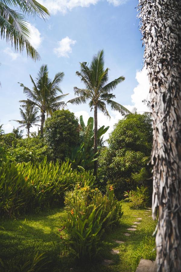 Villa Triangle Palms Siargao General Luna  Exterior foto